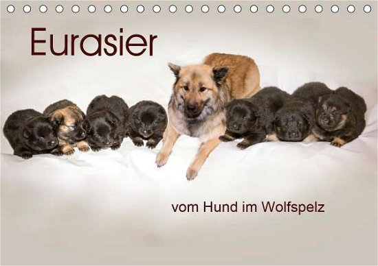 Cover for Überall · Eurasier, der Hund im Wolfspelz (Book)