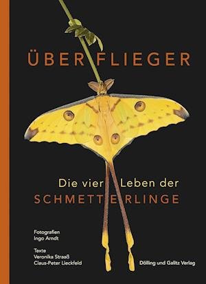 Cover for Veronika Straaß · Überflieger. Die vier Leben der Schmetterlinge (Hardcover Book) (2022)