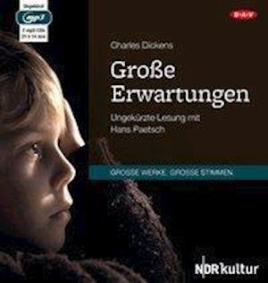 Cover for Charles Dickens · CD Große Erwartungen (CD)