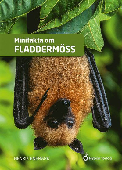 Cover for Henrik Enemark · Minifakta om fladdermöss (ePUB) [Ned edition] (2021)