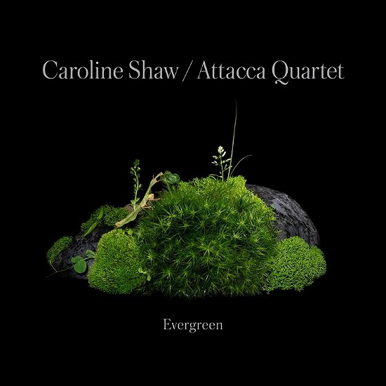 Cover for Caroline Shaw &amp; Attacca Quartet · Caroline Shaw: Evergreen (CD) (2022)