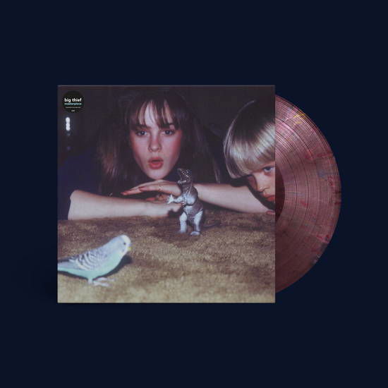 Big Thief · Capacity (LP) [Maroon Coloured edition] (2024)