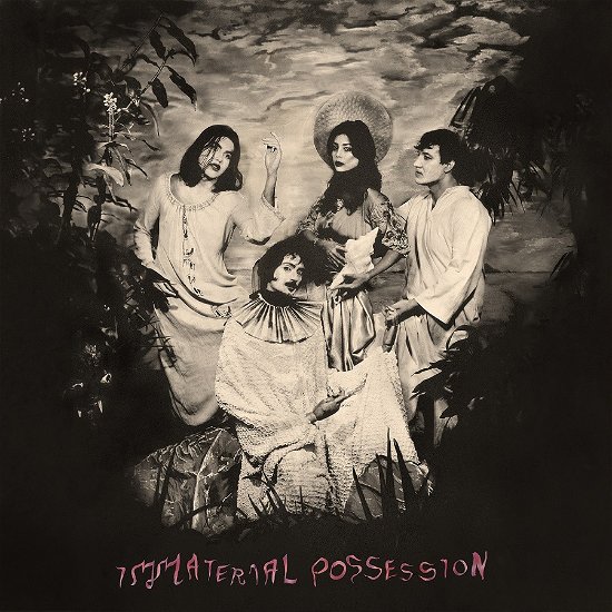 Cover for Immaterial Possession · Mercy Of The Crane Folk (CD) (2023)
