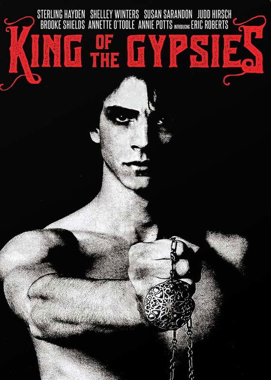 Cover for King of the Gypsies (DVD) (2015)