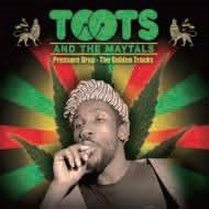 Pressure Drop - the Golden Tracks - Toots & the Maytals - Musikk - CLEOPATRA - 4526180165507 - 26. april 2014