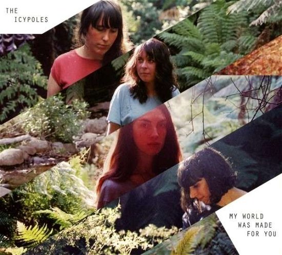 Cover for Icypoles · My World Was Made For You (CD) (2014)