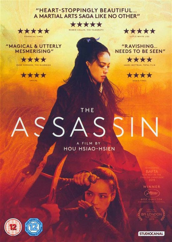 Cover for The Assassin (DVD) (2016)