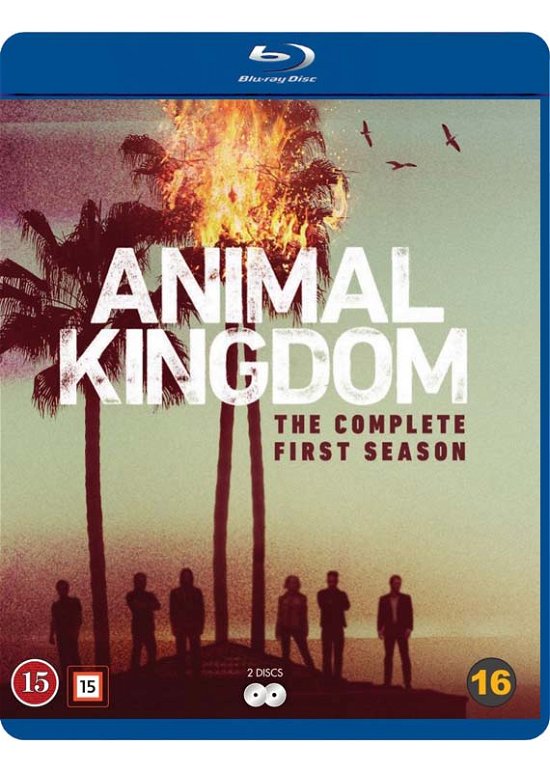Animal Kingdom - Season  1 - Animal Kingdom - Film - Warner - 7340112736507 - 4. mai 2017