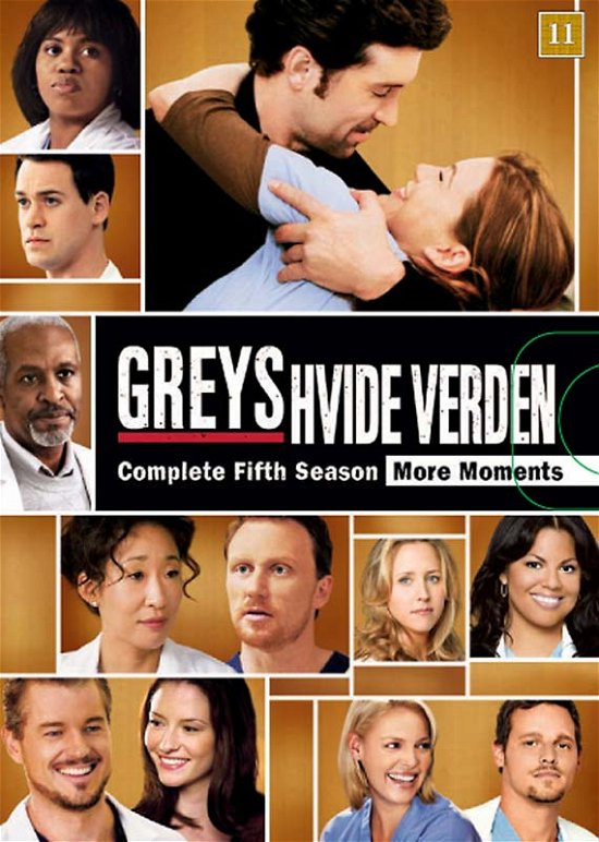 Season 5 - Greys Hvide Verden - Películas -  - 8717418228507 - 3 de noviembre de 2009
