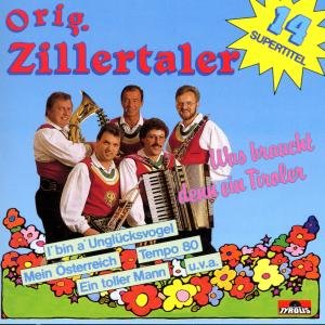 Was Braucht Denn Ein Tiroler - Zillertaler Original - Música - TYROLIS - 9003549503507 - 31 de dezembro de 1994