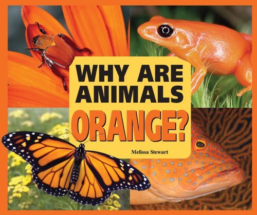 Cover for Melissa Stewart · Why Are Animals Orange? (Rainbow of Animals) (Innbunden bok) (2009)