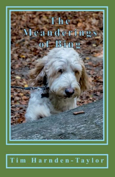 Cover for Tim Harnden-Taylor · The Meanderings of Bing : A gentle, humorous look at life, squeaky balls, whizzers and other great philosophical mysteries through the meanderings of ... together (Paperback Book) (2017)