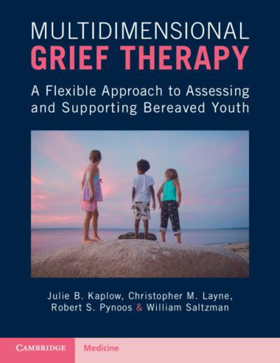 Cover for Kaplow, Julie B. (Tulane University School of Medicine, Louisiana) · Multidimensional Grief Therapy: A Flexible Approach to Assessing and Supporting Bereaved Youth (Pocketbok) (2023)