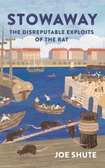 Stowaway: The Disreputable Exploits of the Rat - Joe Shute - Książki - Bloomsbury Publishing PLC - 9781399402507 - 11 kwietnia 2024