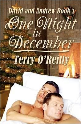 Cover for Terry O'reilly · David and Andrew Book 1: One Night in December (Pocketbok) (2011)