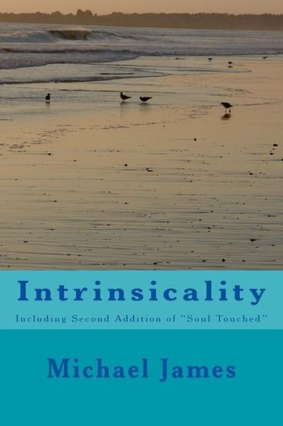 Cover for Michael James · Intrinsicality (Paperback Book) (2017)