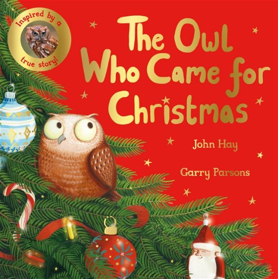 Cover for John Hay · The Owl Who Came for Christmas (Paperback Book) (2022)