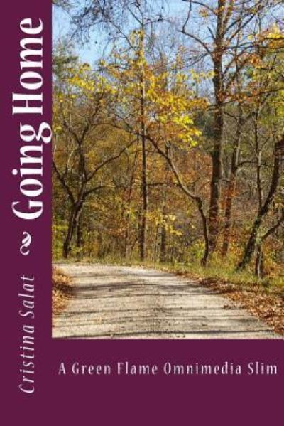 Going Home - Cristina Salat - Books - Createspace Independent Publishing Platf - 9781537130507 - August 18, 2016