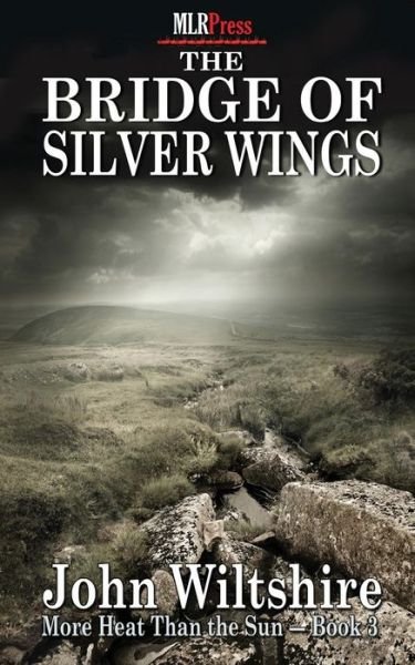 Cover for John Wiltshire · The Bridge of Silver Wings (Taschenbuch) (2014)