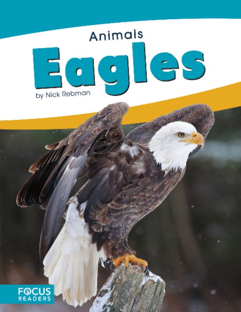 Cover for Nick Rebman · Animals: Eagles (Paperback Book) (2018)