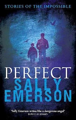 Cover for Sally Emerson · Perfect, Stories of the Impossible (Paperback Book) (2022)