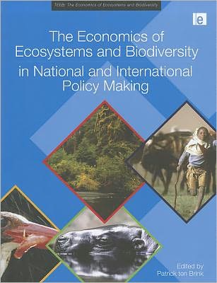 Cover for United Nations · The Economics of Ecosystems and Biodiversity in National and International Policy Making - TEEB - The Economics of Ecosystems and Biodiversity (Hardcover bog) (2011)