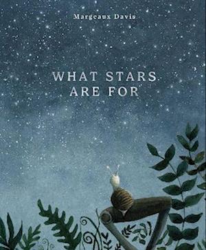 Cover for Margeaux Davis · What Stars Are For (Hardcover Book) (2025)