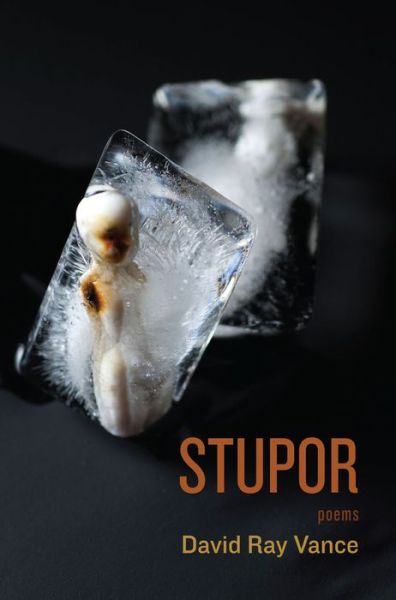 Cover for David Ray Vance · Stupor (Book) (2014)