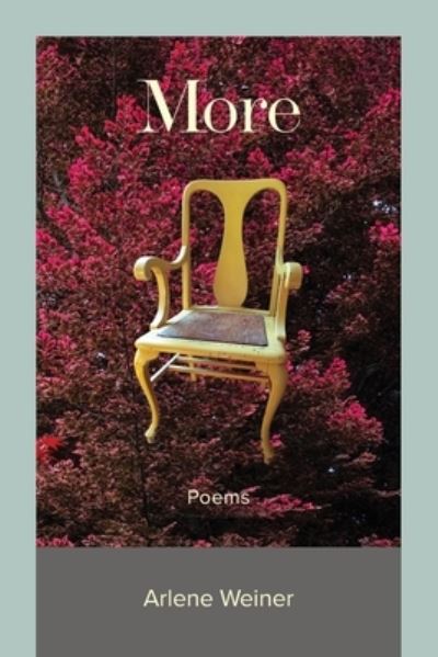 More - Arlene Weiner - Books - Ragged Sky Press - 9781933974507 - October 28, 2022