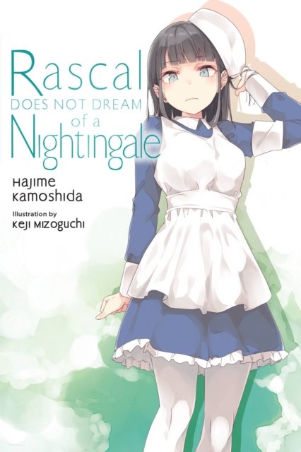 Cover for Hajime Kamoshida · Rascal Does Not Dream, Vol. 11 (light novel) (Paperback Bog) (2023)