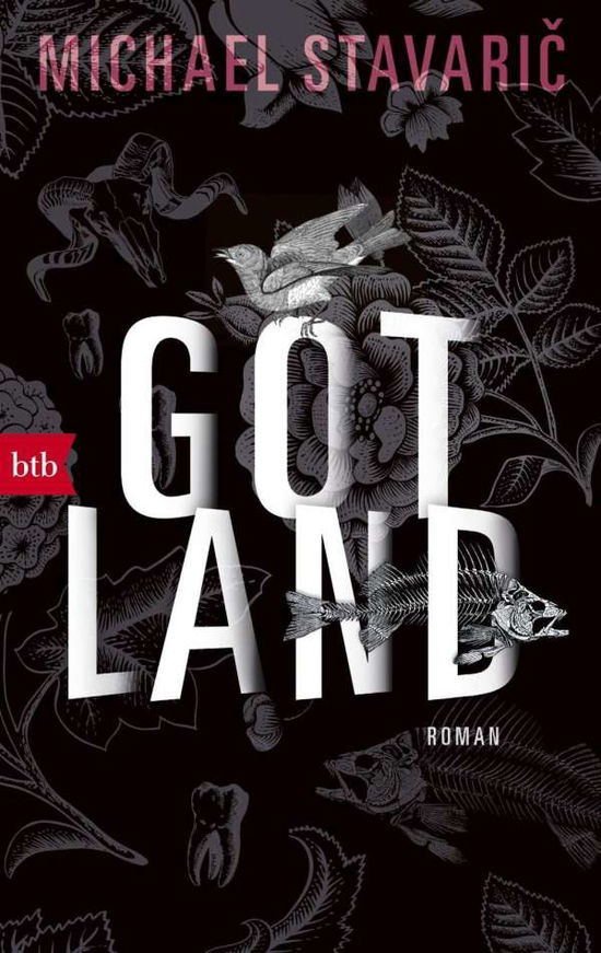 Cover for Michael Stavaric · Gotland (Book)