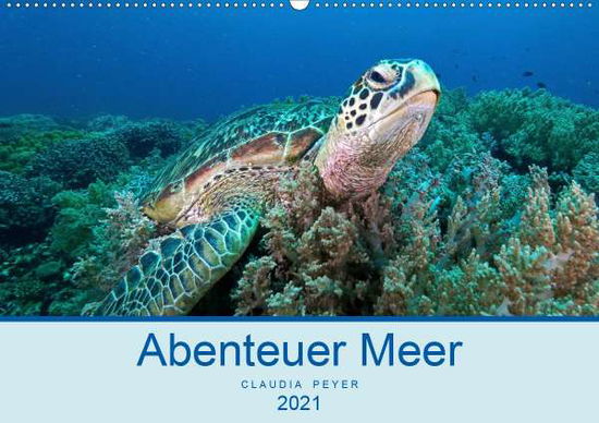 Cover for Peyer · Abenteuer Unterwasser (Wandkalend (Book)