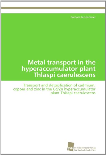Cover for Barbara Leitenmaier · Metal Transport in the Hyperaccumulator Plant Thlaspi Caerulescens: Transport and Detoxification of Cadmium, Copper and Zinc in the Cd/zn Hyperaccumulator Plant Thlaspi Caerulescens (Paperback Book) (2012)
