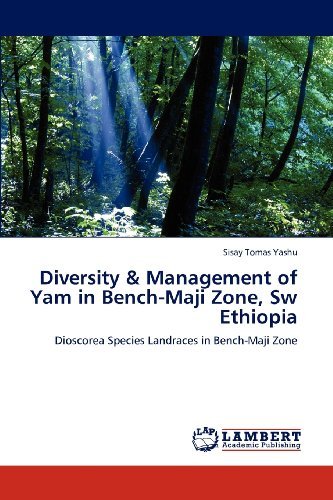 Cover for Sisay Tomas Yashu · Diversity &amp; Management of Yam in Bench-maji Zone, Sw Ethiopia: Dioscorea Species Landraces in Bench-maji Zone (Paperback Bog) (2012)
