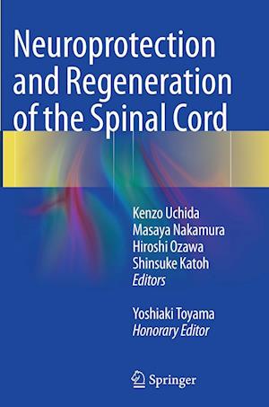Cover for Neuroprotection and Regeneration of the Spinal Cord (Paperback Book) [Softcover reprint of the original 1st ed. 2014 edition] (2016)