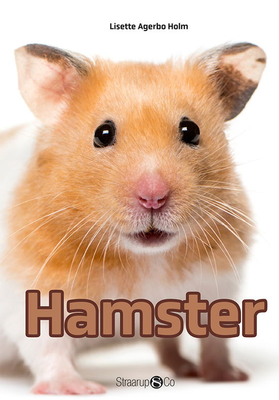 Cover for Lisette Agerbo Holm · Mini: Hamster (Hardcover Book) [1st edition] (2021)