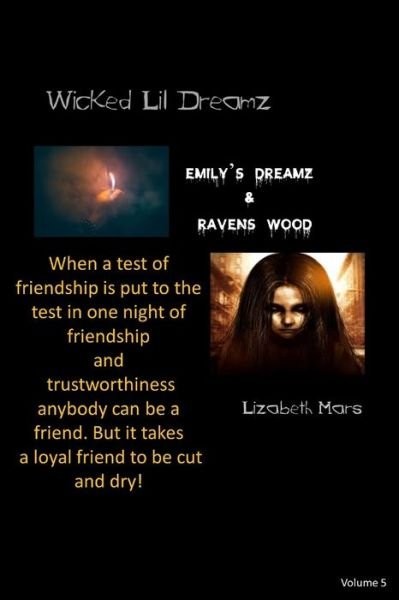Cover for Lizabeth Mars · Wicked LIl Dreamz (Paperback Book) (2020)