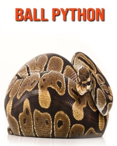 Cover for William Doyle · Ball Python (Paperback Book) (2020)