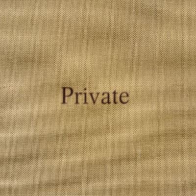 Cover for Ed Park · Tod Lippy: Private (Paperback Book) (2024)