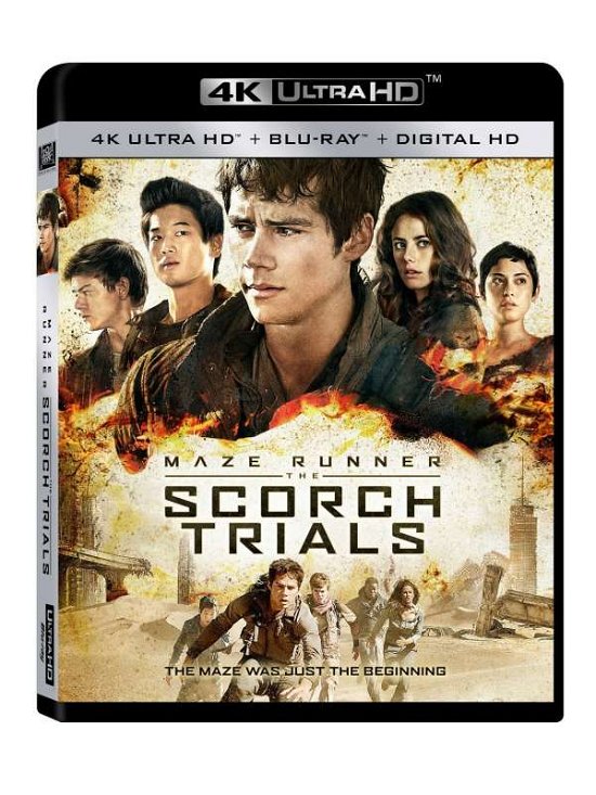 Cover for Maze Runner: the Scorch Trials (4K Ultra HD) (2016)