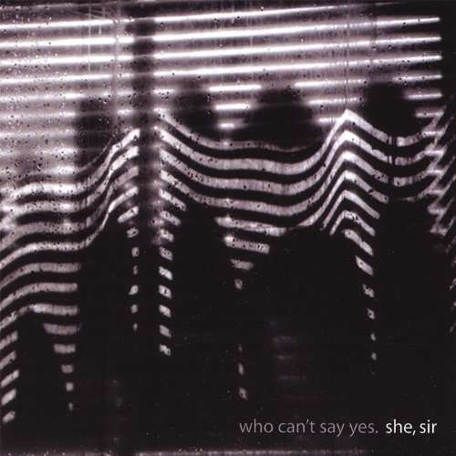 Cover for She Sir · Who Can't Say Yes (LP) (2017)
