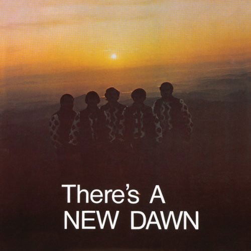 Cover for New Dawn · There'S A New Dawn (LP) [Coloured edition] (2016)