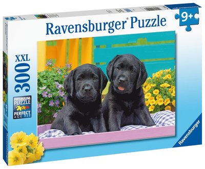 Cover for Ravensburger · Zwarte Labradors (300 Stukjes) (Jigsaw Puzzle)