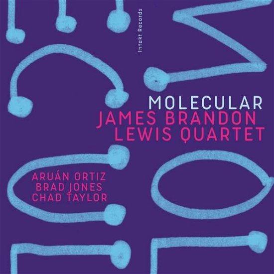 Cover for James Brandon Lewis Quartet · Molecular (CD) (2020)