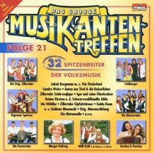 Das Grosse Musikantentreffen Folge 21 - Various Artists - Música - TYROLIS - 9003549519508 - 7 de enero de 2002