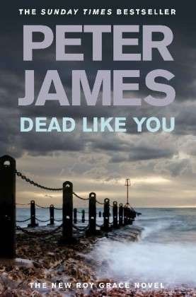 Cover for Peter James · Roy Grace series: Dead Like You (Paperback Bog) (2010)