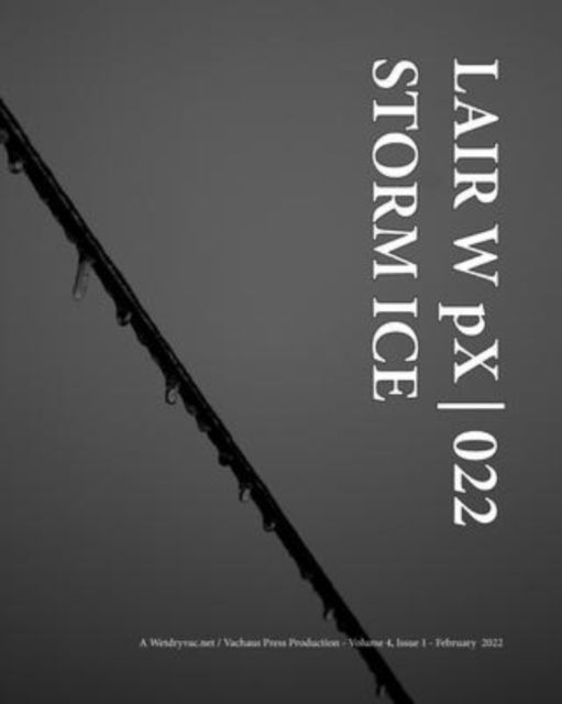 Cover for Wetdryvac · LAIR W pX 022 Storm Ice (Pocketbok) (2024)