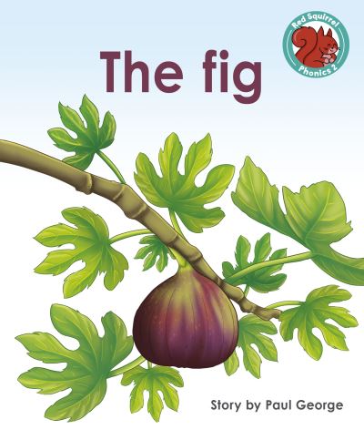 Cover for Paul George · The Fig - Red Squirrel Phonics Level 2 Set 2 (Paperback Book) (2022)