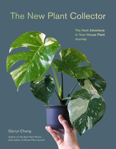 Cover for Darryl Cheng · The New Plant Collector: The Next Adventure in Your House Plant Journey (Pocketbok) (2024)