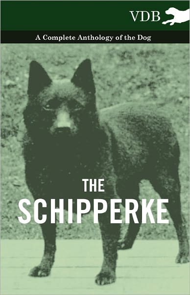 Cover for The Schipperke - a Complete Anthology of the Dog (Pocketbok) (2010)